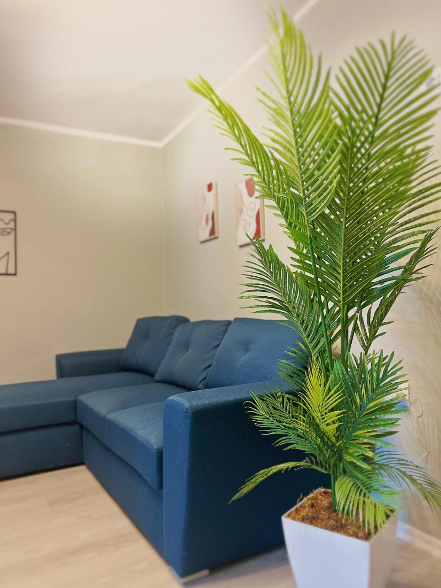 Joyful Apartment Tirana Eksteriør billede